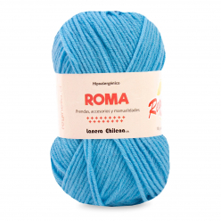 ROMA 13 Campana